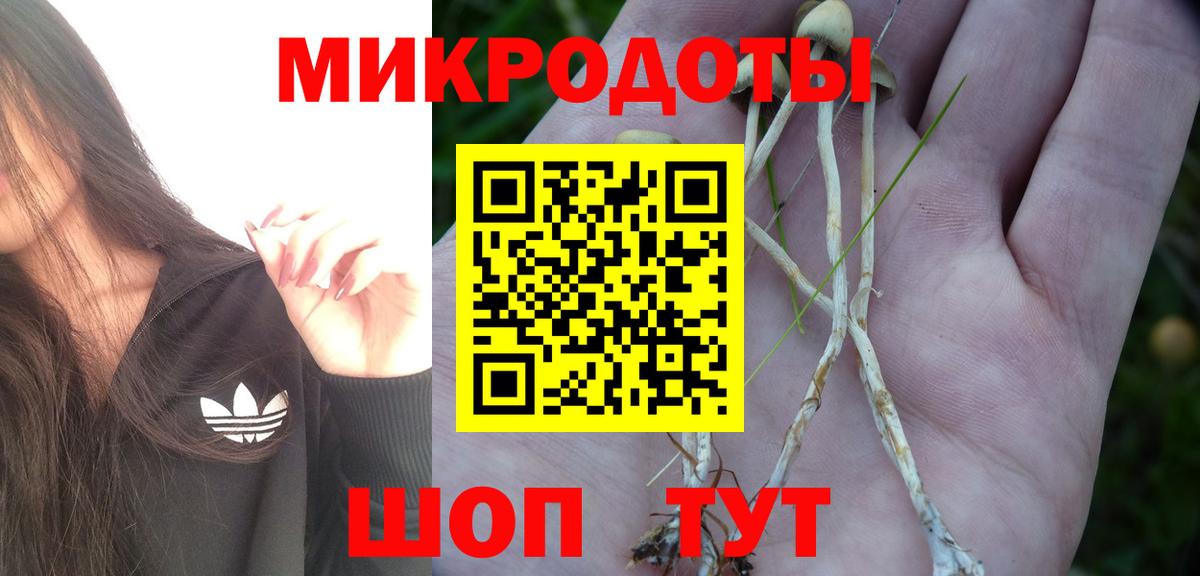 Псилоцибиновые грибы мицелий Михайловск